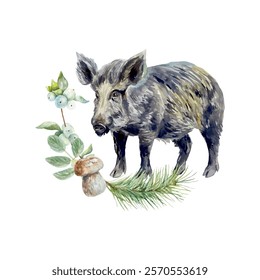 Wild boar watercolor. Fir branch, mushroom, berry sprig. Hand drawn vector illustration. Cards, invitations, posters, banners, wildlife protection day