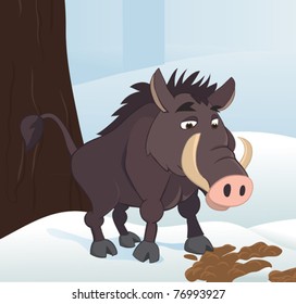 Wild boar in winter forest