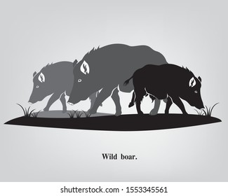 Wild boars for black and white logo.