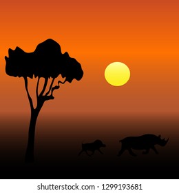 Wild boars at sunset