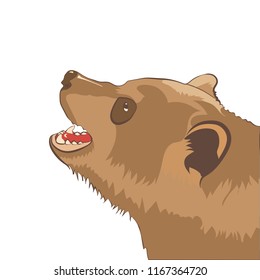 Wild brown bear growls, side view, vector illustration