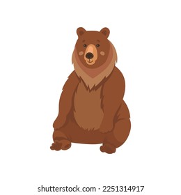 Wild brown bear sitting flat vector illustration. Drawing of cute comic grizzly bear cartoon character isolated on white background. Wildlife, nature concept