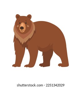 Wild brown bear walking flat vector illustration. Drawing of cute comic grizzly bear cartoon character isolated on white background. Wildlife, nature concept