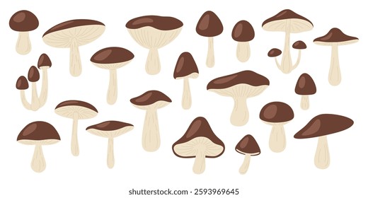 Wild Brown Cap Mushrooms Vector Set. Flat Color Hand Drawn Forest Fungi Collection. Porcini, Bay Bolete, Birch Bolete, King Mushroom Icon Set. Foraging, Cooking, Mycology, Botanical Illustration