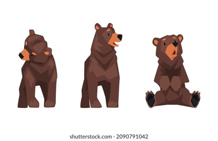 Wild-brauner Grizzly-Bär als Waldhabitat im Stehpose-Vektorset