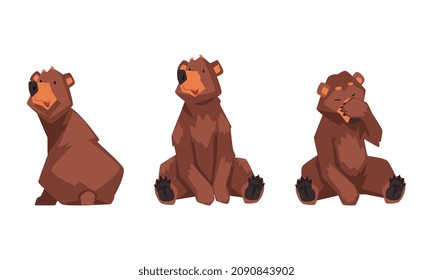 Wild Brown Grizzly Bear as Forest Habitant in Sitting Pose Vector Set