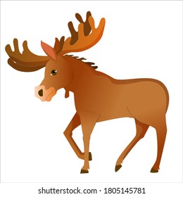 Wild brown moose drawn in cartoon style. Elk. Vector illustration isolated on white background