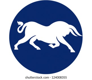 Wild Bull