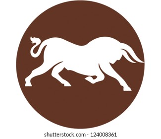 Wild Bull