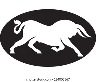 Wild Bull