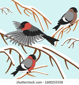 Wild bullfinch vector and winter background