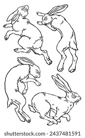Wild bunny sketch. Sketched rabbit or hare retro etch, antique engraving easter rabbits hand drawing vintage sitting bunnies cute haring animal ingenious vector illustration