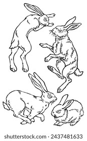 Wild bunny sketch. Sketched rabbit or hare retro etch, antique engraving easter rabbits hand drawing vintage sitting bunnies cute haring animal ingenious vector illustration