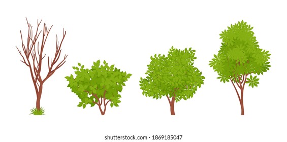 Wild bush greenery plant, summer and autumn shrub stem set. Dry tree brown branches, lush foliage, fresh leaves for forest, garden, park, city street decoration. Vector flat style cartoon illustration