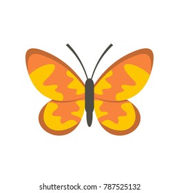 Wild butterfly icon. Flat illustration of wild butterfly vector icon isolated on white background