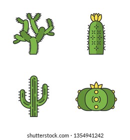 Wild cacti color icons set. American tropical plants. Succulents. Saguaro, peyote, hedgehog, teddy bear cactuses. Isolated vector illustrations