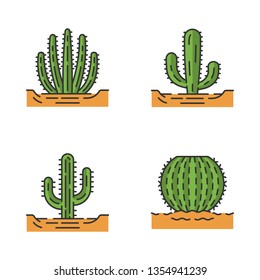 Wild cacti in ground color icons set. Succulents. Spiny plants. Barrel cactus, saguaro, mexican giant, organ pipe cactus. Isolated vector illustrations