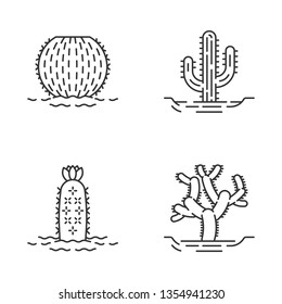 Wild cacti in land linear icons set. Tropical succulent. Spiny plant. Barrel cactus, cholla, saguaro, hedgehog cactus. Thin line contour symbols. Isolated vector outline icons. Editable stroke