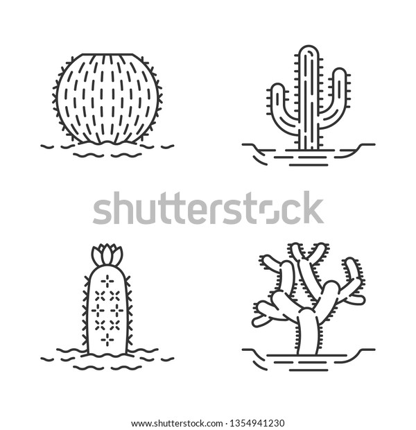 Featured image of post Barrel Cactus Line Drawing Here presented 46 barrel cactus drawing images for free to download print or share