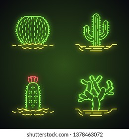 Wild cacti in land neon light icons set. Tropical succulent. Spiny plant. Barrel cactus, cholla, saguaro, hedgehog cactus. Glowing signs. Vector isolated illustrations