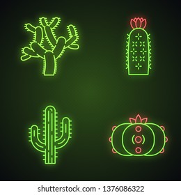 Wild cacti neon light icons set. American tropical plants. Succulents. Saguaro, peyote, hedgehog, teddy bear cactuses. Glowing signs. Vector isolated illustrations