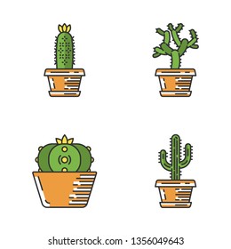 Wild cacti in pot color icons set. Succulents. Teddy bear cholla, peyote, saguaro, hedgehog cactus. Isolated vector illustrations