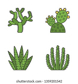 Wild cactus color icons set. Green succulents. Exotic mexican flora. Chola, prickly pear, zebra cactus, organ pipe cacti. Isolated vector illustrations