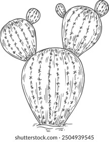 Wild cactus drawing. Mexican plant. Desert flora