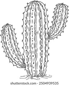 Wild cactus engraving. Hand drawn desert succulent