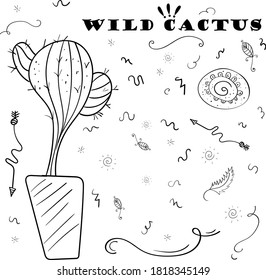 Wild cactus. Mexican doodle Hand drawn vector illustration.