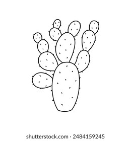 Wild cactus with thorn. Hand drawn illustration in sketch style.