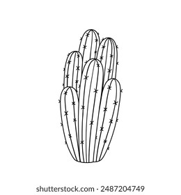 Wild cactus with thorn. Hand drawn illustration in sketch style.