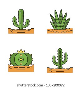 Wild cactuses in ground color icons set. Tropical succulents. Spiny plants. Mexican giant, saguaro, peyote, zebra cactus. Isolated vector illustrations