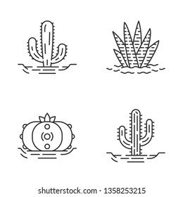 Wild cactuses in ground linear icons set. Tropical succulents. Spiny plants. Mexican giant, saguaro, peyote, zebra cactus. Thin line contour symbols. Isolated vector outline icons. Editable stroke