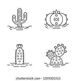 Wild cactuses in ground linear icons set. Spiny plant. Green succulents. Saguaro, prickly pear, peyote, hedgehog cactus. Thin line contour symbols. Isolated vector outline icons. Editable stroke