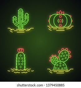 Wild cactuses in ground neon light icons set. Spiny plants. Green succulents. Saguaro, prickly pear, peyote, hedgehog cactus. Glowing signs. Vector isolated illustrations