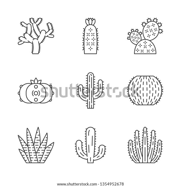 Wild cactuses linear icons set. South American\
tropical flora. Succulents. Spiny plants. Cacti collection.  Thin\
line contour symbols. Isolated vector outline illustrations.\
Editable stroke