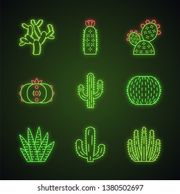 Wild cactuses neon light icons set. South American tropical flora. Succulents. Spiny plants. Cacti collection. Glowing signs. Vector isolated illustrations