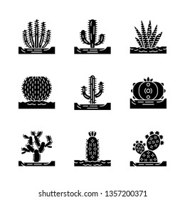 Wild cactuses on ground glyph icons set. Mexican tropical flora. Succulents. Spiny plants. Cacti collection. Silhouette symbols. Vector isolated illustration