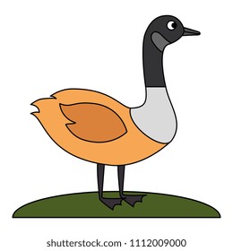 wild canadian duck icon