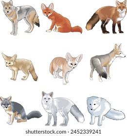 wild canine such as fox and coyote in vector