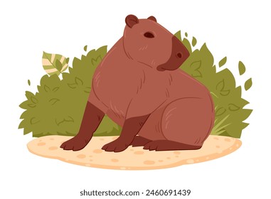 Wild capybara. Cartoon herbivore mammal in natural habitat, cute capybara flat vector illustration. Semi-aquatic animal