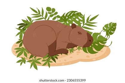 Wild capybara. Cartoon semi-aquatic mammal in natural habitat. Herbivore animals flat vector illustration