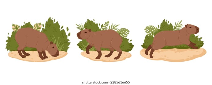 Wild capybaras. Cartoon herbivore mammals in natural habitat. Cute semi-aquatic animals flat vector illustration set