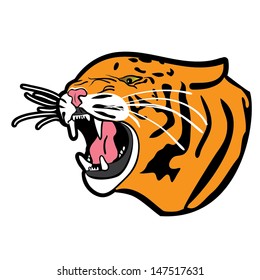 wild cat angry,angry tiger head vector