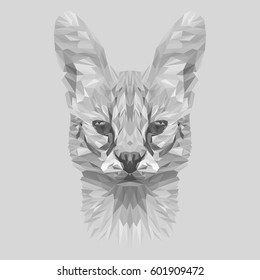 Wild cat animal low poly design. Triangle vector illustration.