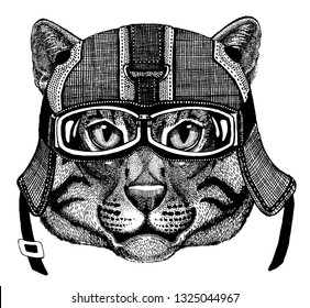 Wild cat Animal wearing motorycle helmet. Image for kindergarten children clothing, kids. T-shirt, tattoo, emblem, badge, logo, patch