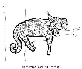Wild cat coloring page