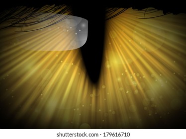 Wild Cat Eye