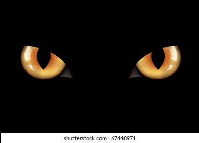 Wild Cat Eyes, On Black Background, Vector Illustration